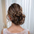 #color-cofee-brown-highlighted