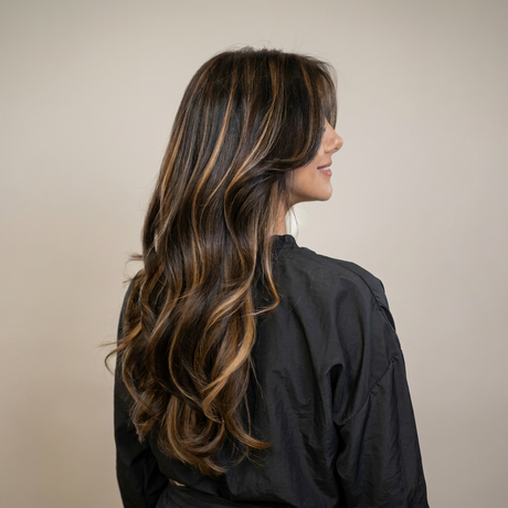 #color-dark-brown-highlighted